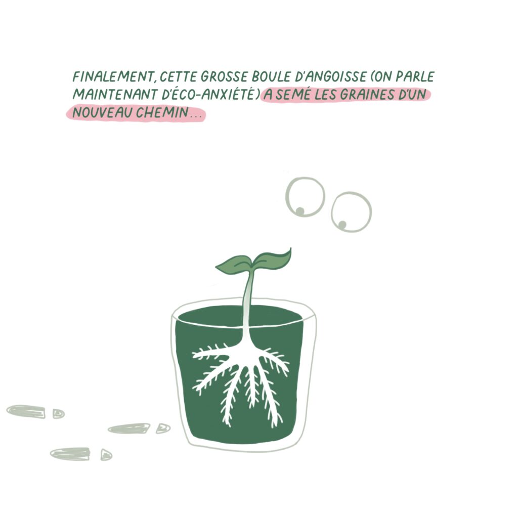 Illustration pédagogique fleuriste écoresponsable 5