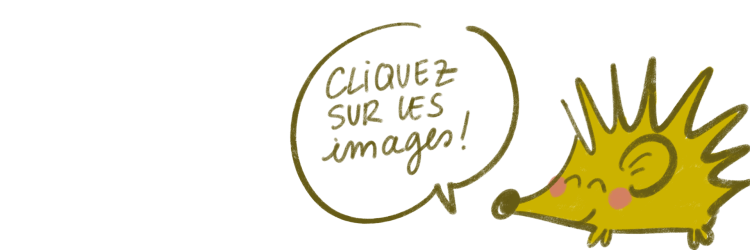 Cliquez sur les images
